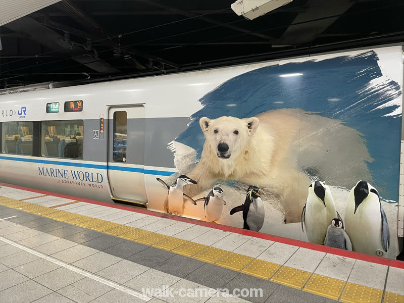 大阪からアドベンチャーワールドへの電車とバスでの行き方のまとめ