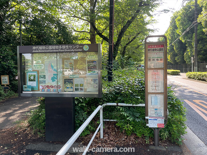 神代植物公園前駅のバス停
