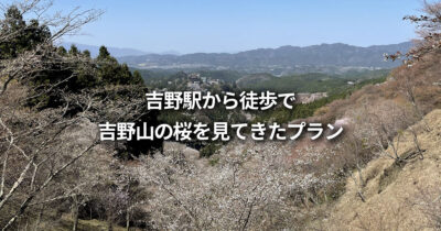 駅から徒歩で吉野山の桜を見てきたプラン