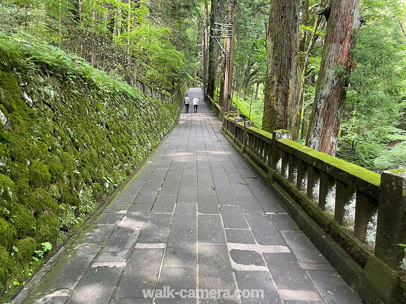 榛名神社の道