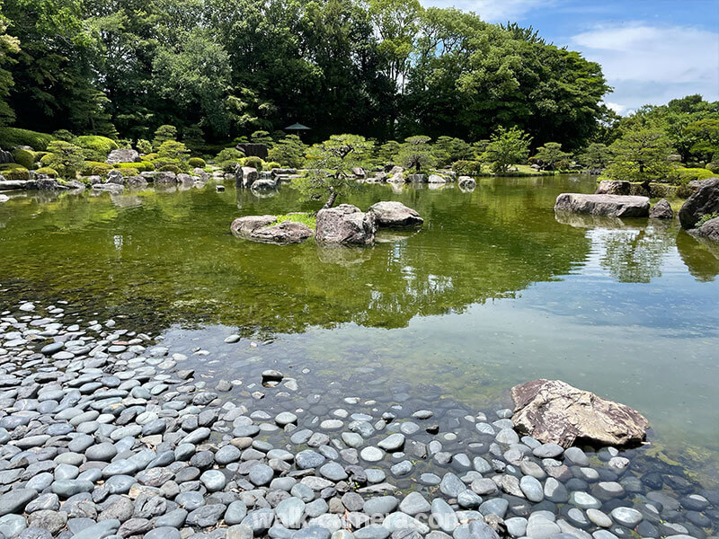 大濠公園　日本庭園 池