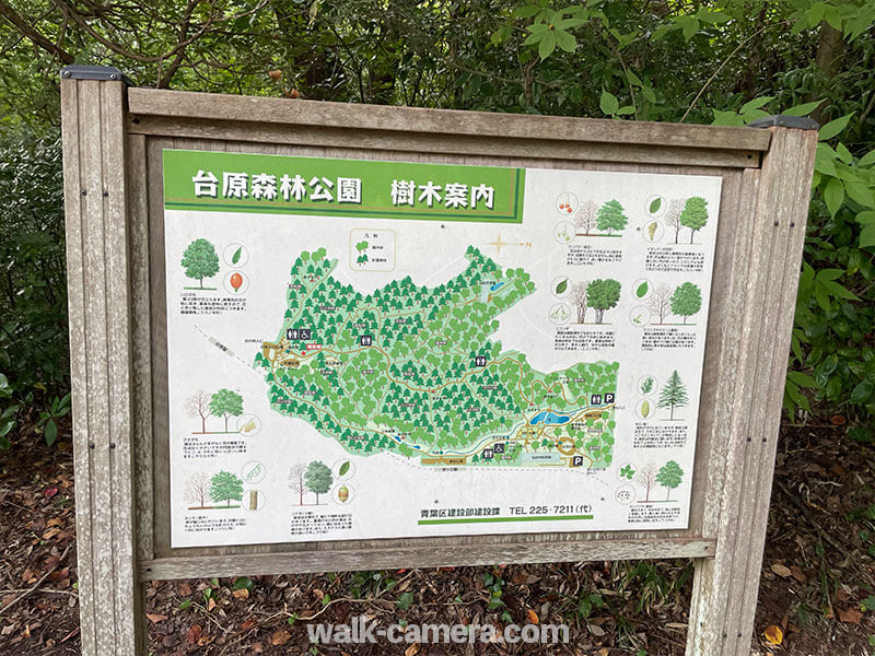 宮城県 台原森林公園