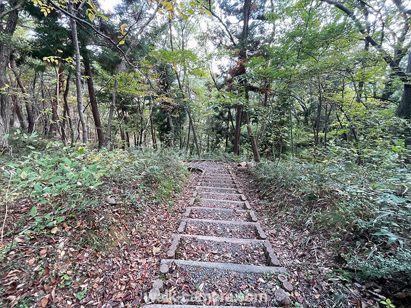 福島　信夫山　冒険の森
