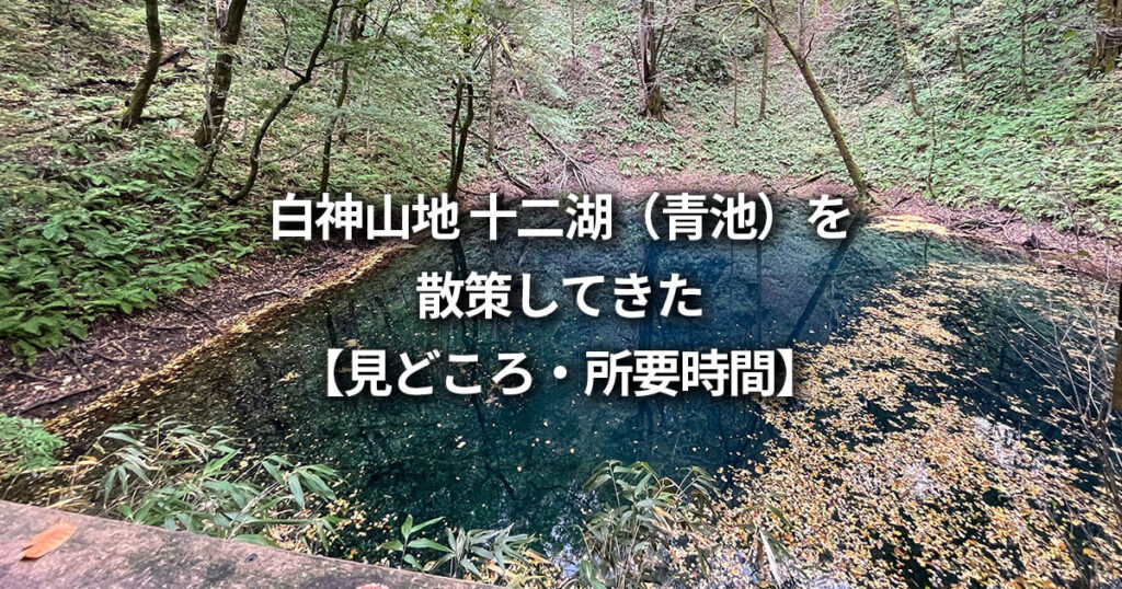 車なしで白神山地の十二湖(青池)を散策してきた【見どころ・所要時間】