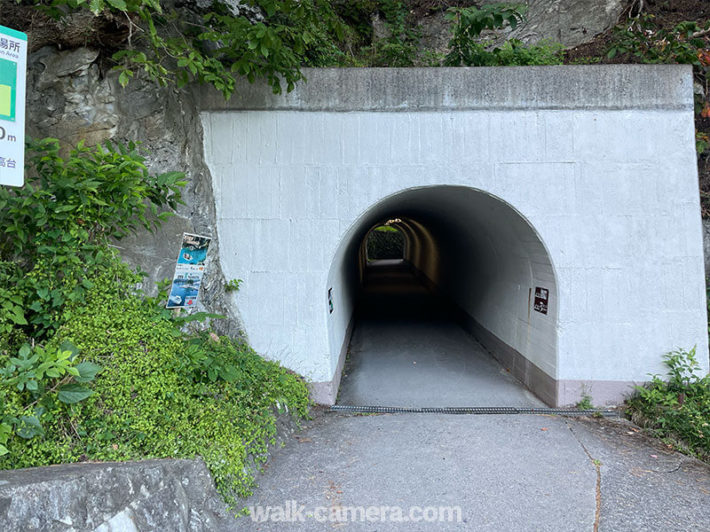 宮古　浄土ヶ浜　トンネル