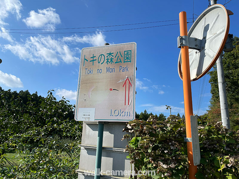 佐渡島　トキの森公園への案内標識
