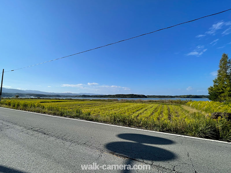 加茂湖　自転車からの風景