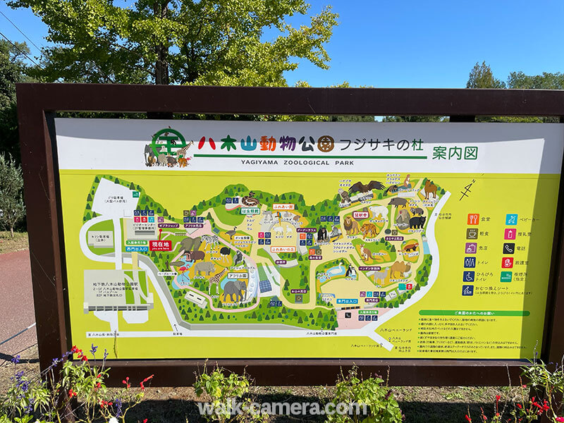 八木山動物公園フジサキの杜の見どころや所要時間