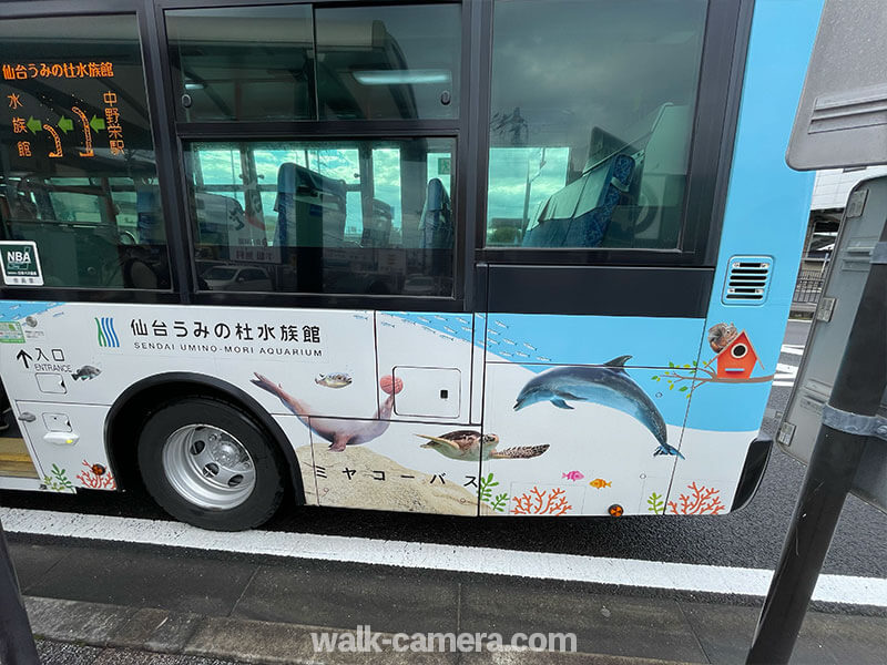 仙台うみの杜水族館 シャトルバス