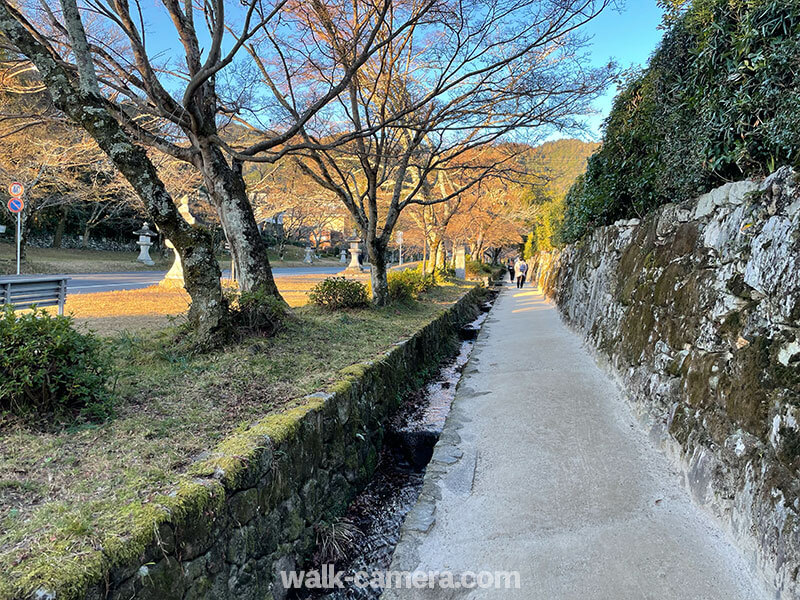 日吉大社への徒歩での行き方