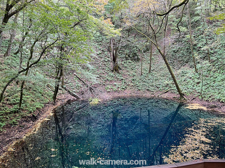 車なしで白神山地の十二湖(青池)を散策してきた【見どころ・所要時間】