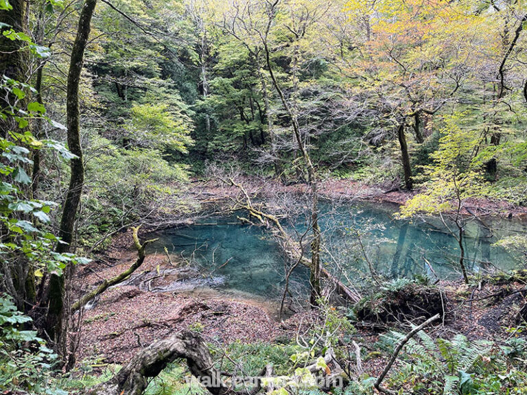 車なしで白神山地の十二湖(青池)を散策してきた【見どころ・所要時間】