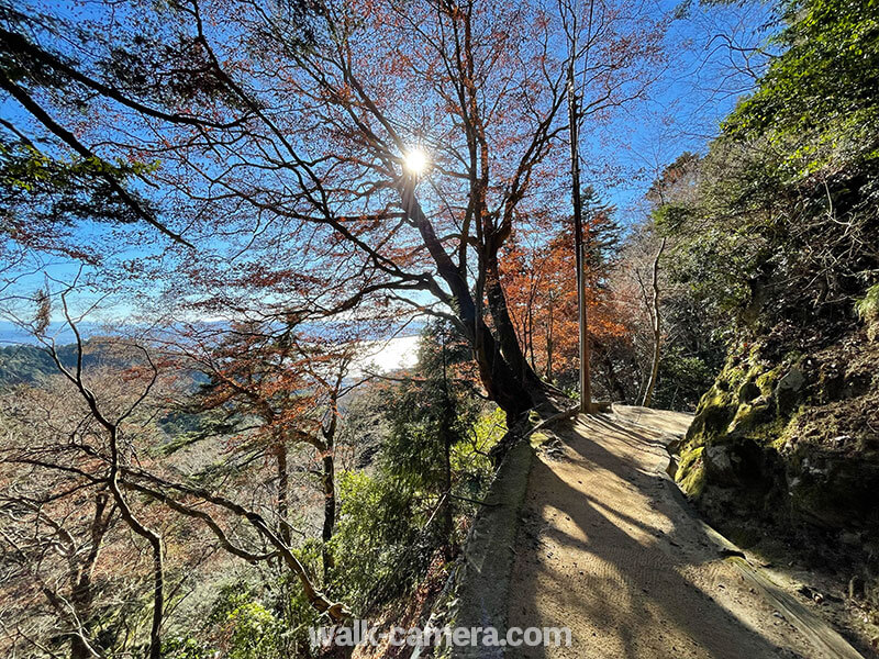無動寺の参道から見る琵琶湖