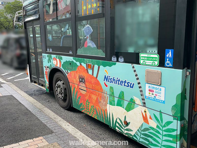 福岡市動植物園行きのバス
