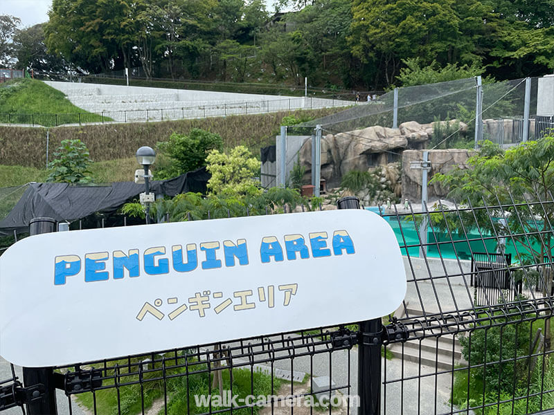 福岡市動植物園　ペンギンエリア