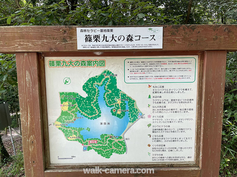 篠栗九大の森　散策コース