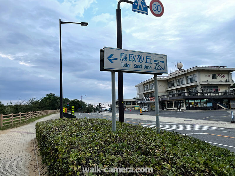 バス停から鳥取砂丘への道