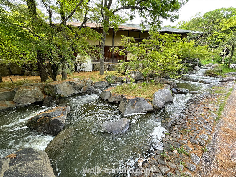 花博記念公園鶴見緑地　日本庭園の風景