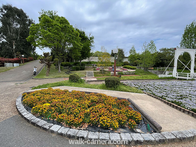 花博記念公園鶴見緑地　季節の草花