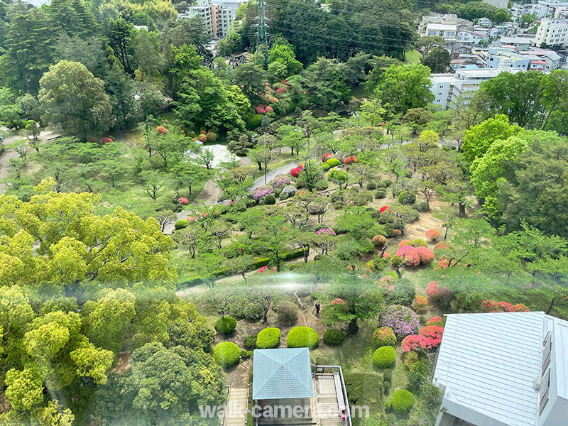 宇都宮タワー　展望台から見る花見広場