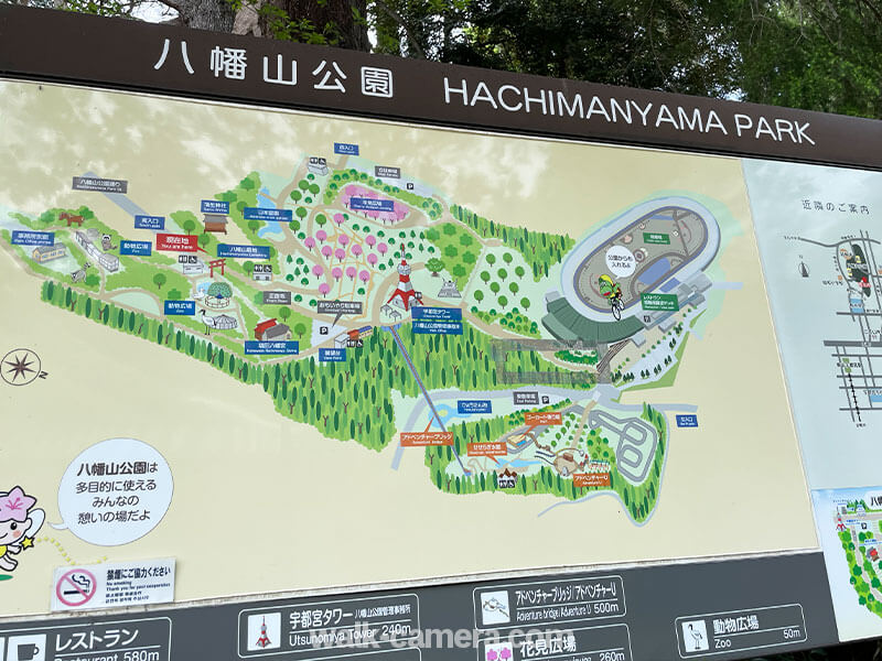 宇都宮　八幡山公園の見どころ・楽しみ方について