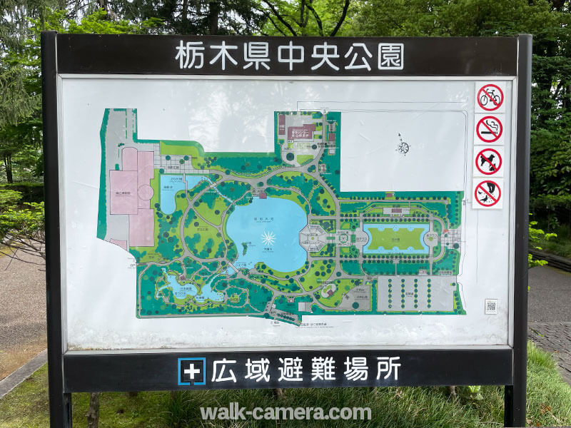 栃木県中央公園の見どころ・楽しみ方について