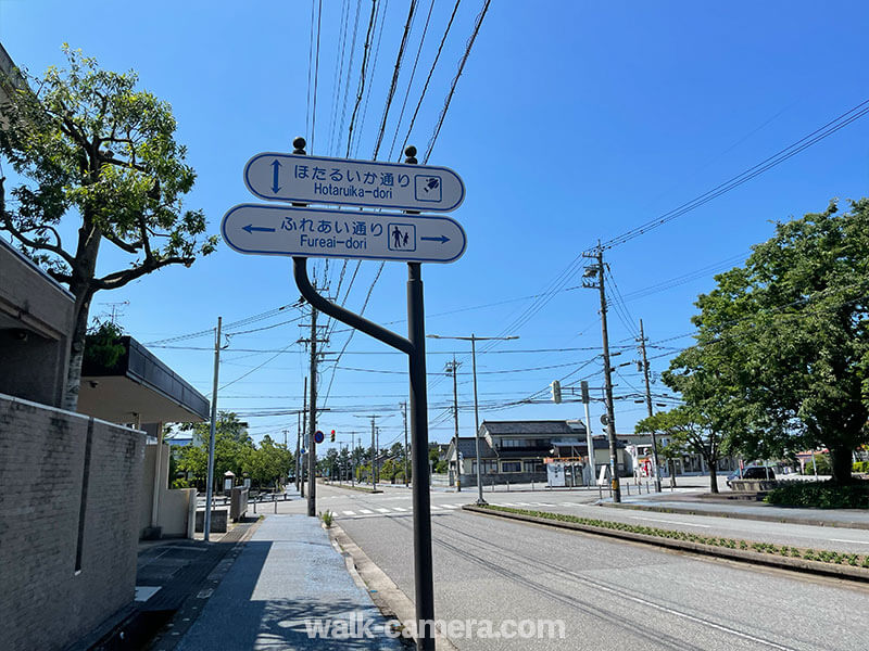 滑川　ほたるいか通り