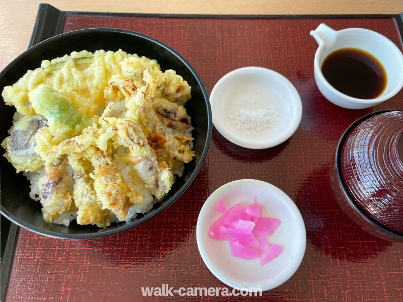 滑川　パノラマレストラン「光彩」　ホタルイカ天丼