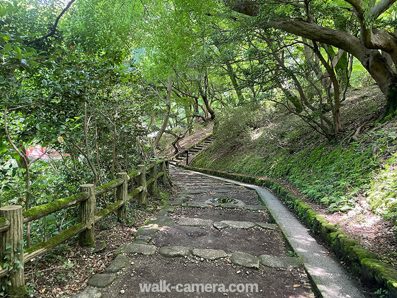 高岡古城公園 森林