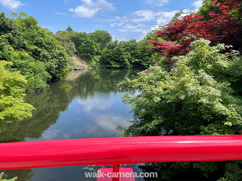 高岡古城公園　堀池