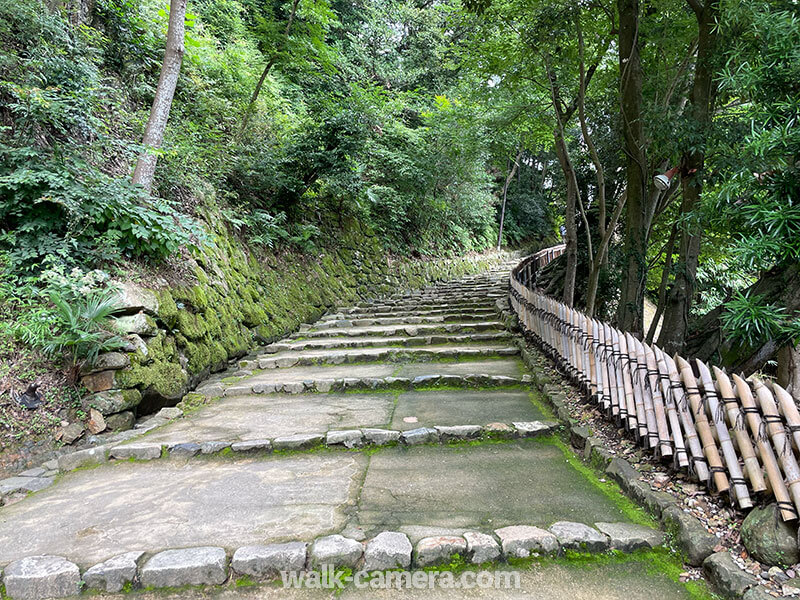 彦根城　見どころ