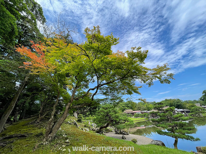 玄宮園　季節の草花