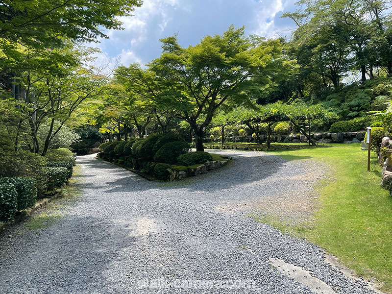 石山寺　自然