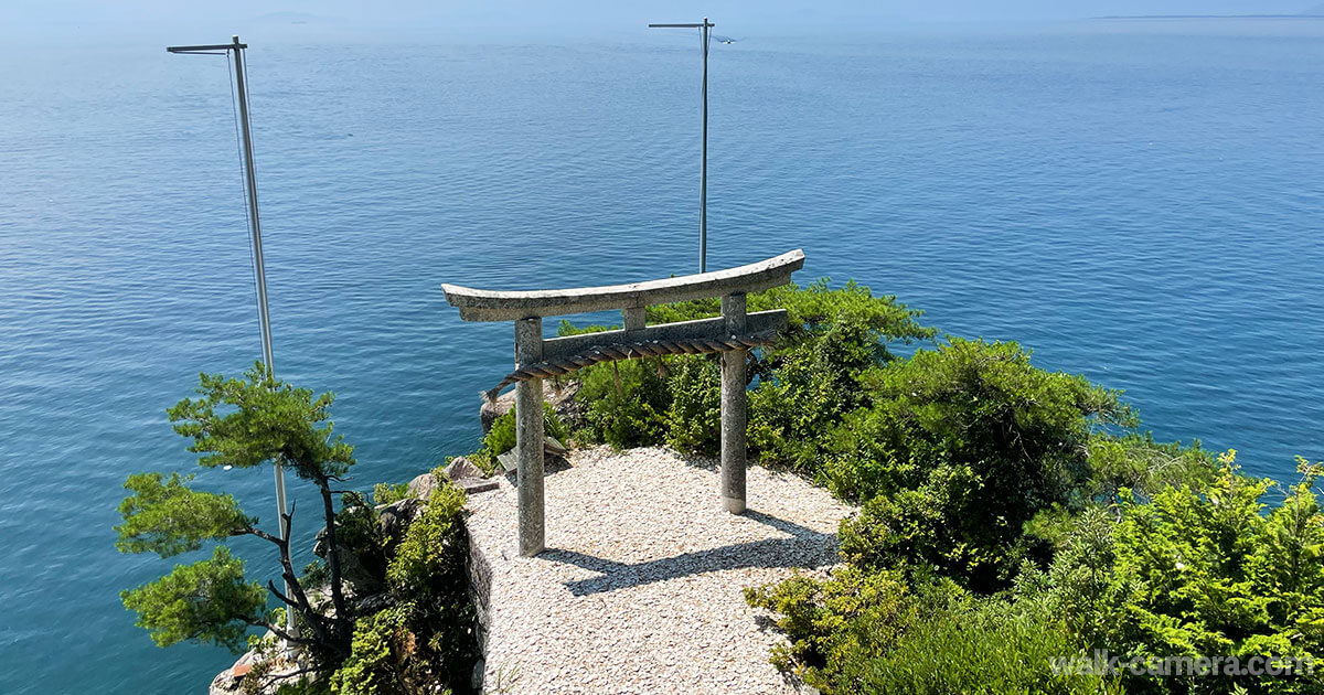 竹生島クルーズ 宝厳寺 都久夫須麻神社 見どころ 所要時間