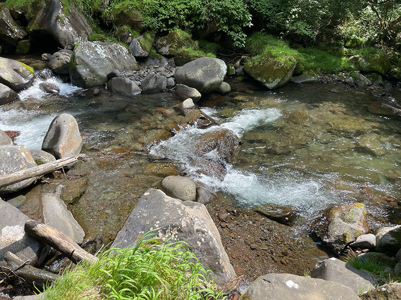 千ヶ滝　大門川