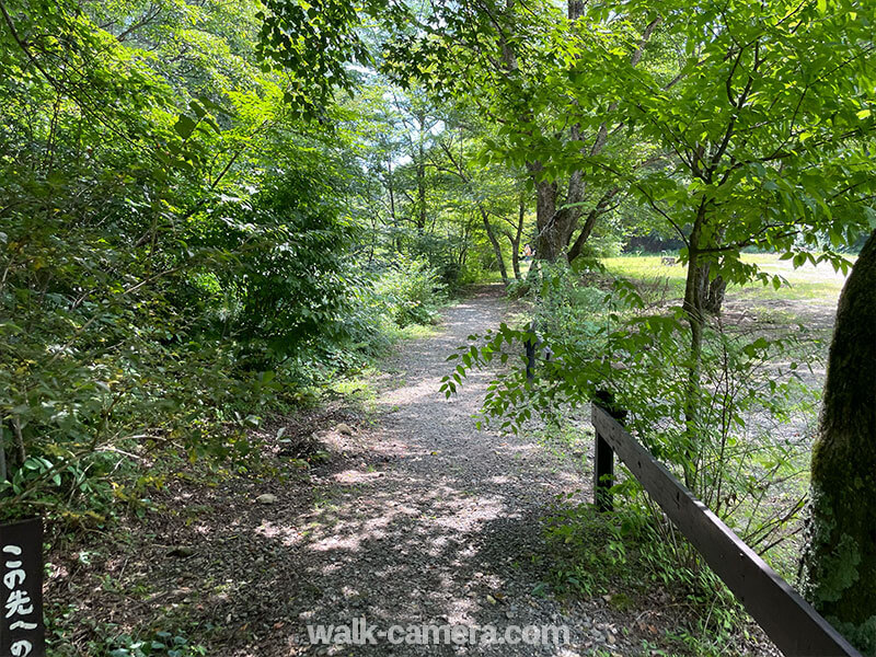 千ヶ滝　山道