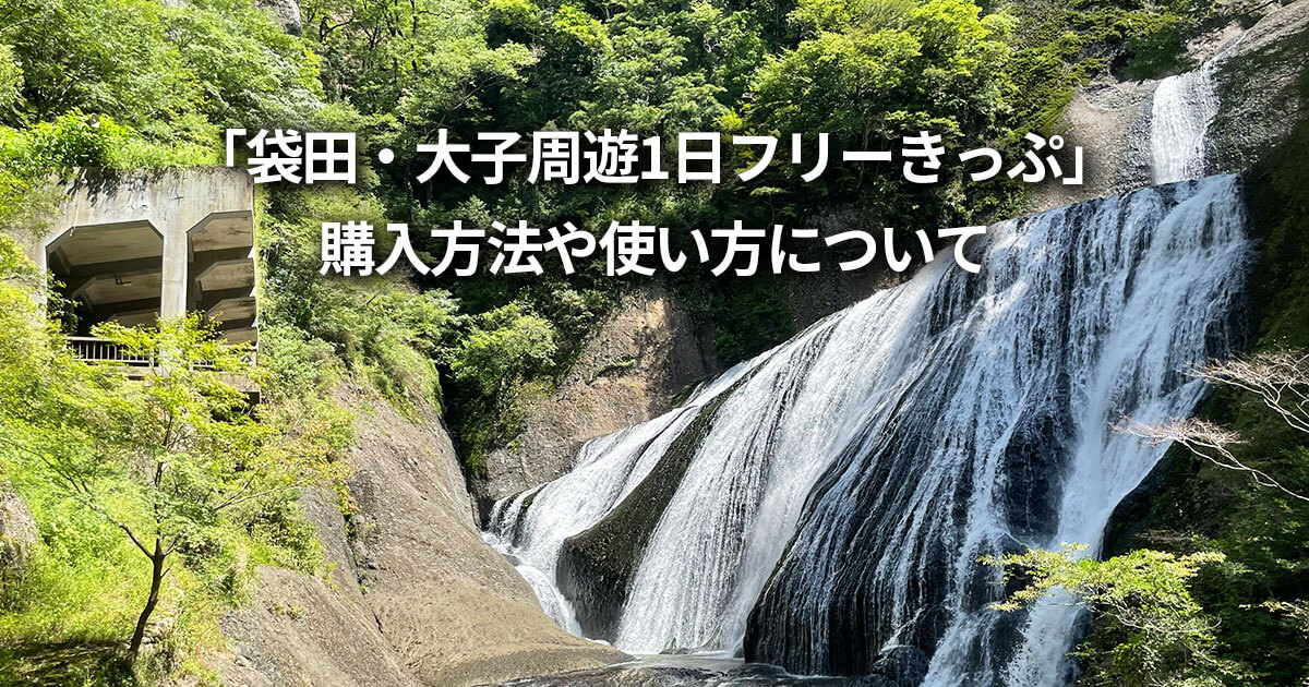 「袋田・大子周遊1日フリーきっぷ」 購入方法 使い方 割引