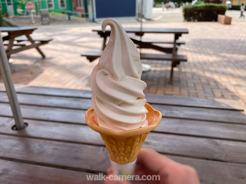 ひたち海浜公園 アイスクリーム