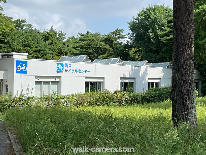 ひたち海浜公園 レンタルサイクル