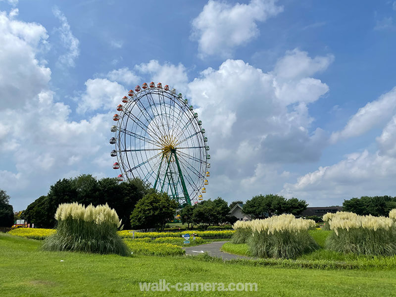 国営ひたち海浜公園 所要時間（滞在時間）の目安