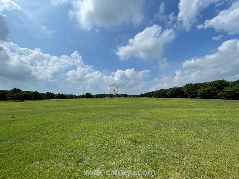 ひたち海浜公園 大草原