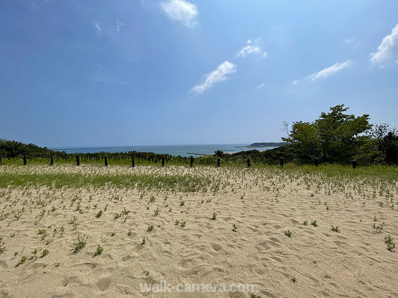 ひたち海浜公園 砂丘エリア