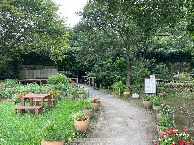 ひたち海浜公園 記念の森レストハウス