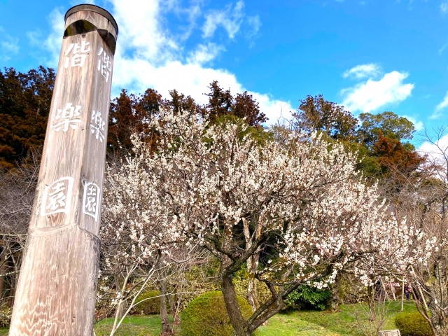 偕楽園について