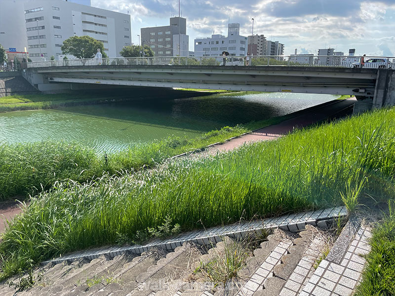 水戸 桜川 遊歩道