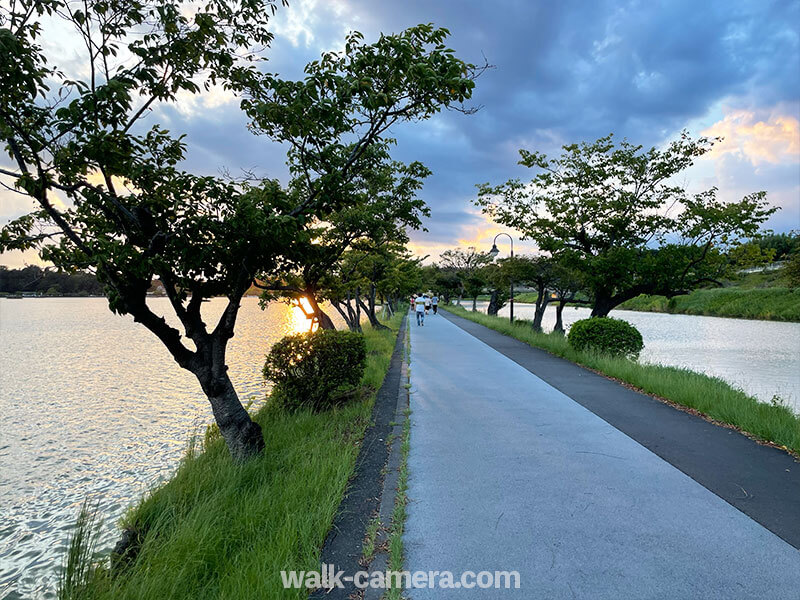 千波湖 遊歩道