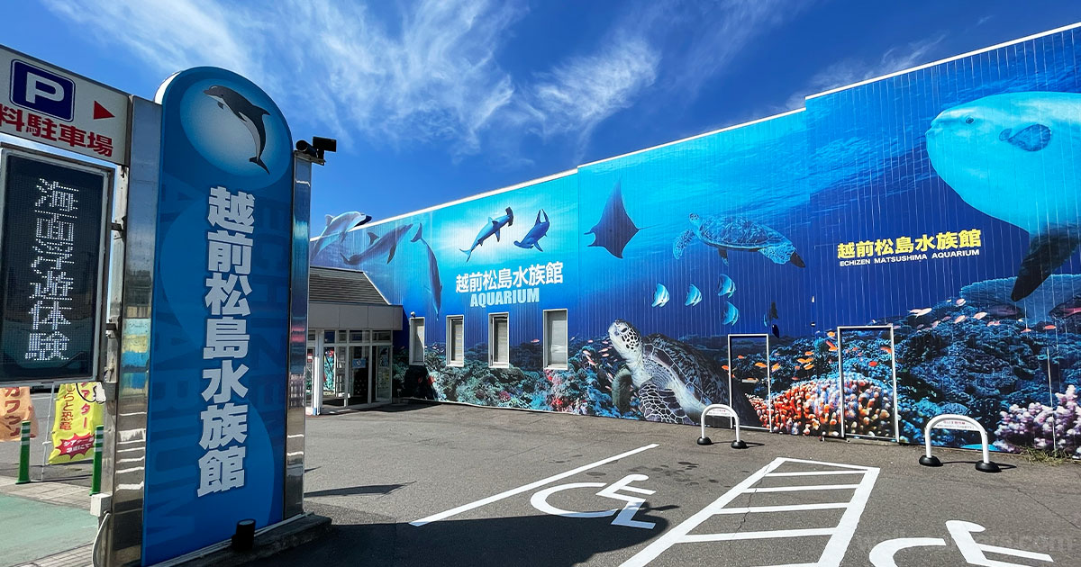 越前松島水族館 芦原温泉 バス 行き方 所要時間