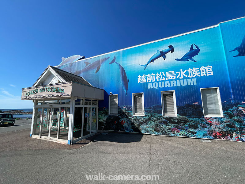 越前松島水族館 入口