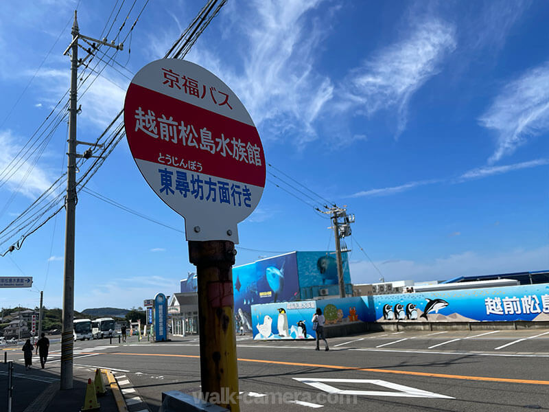 京福バス バス停「越前松島水族館」