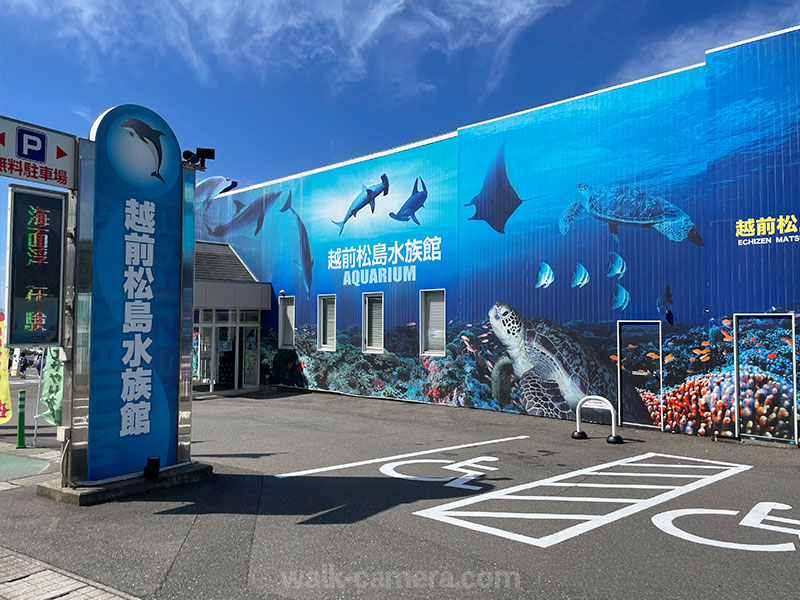 越前松島水族館